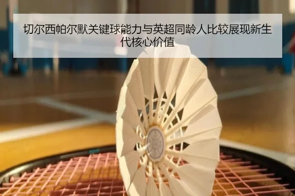 切尔西帕尔默关键球能力与英超同龄人比较展现新生代核心价值